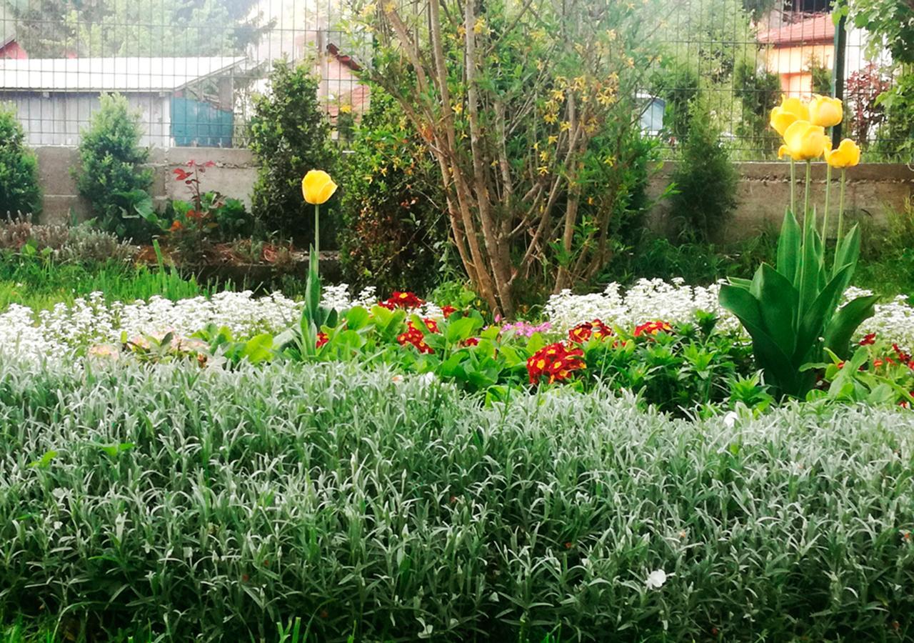 Apartman Amelaa คูเลนวาคูฟ ภายนอก รูปภาพ